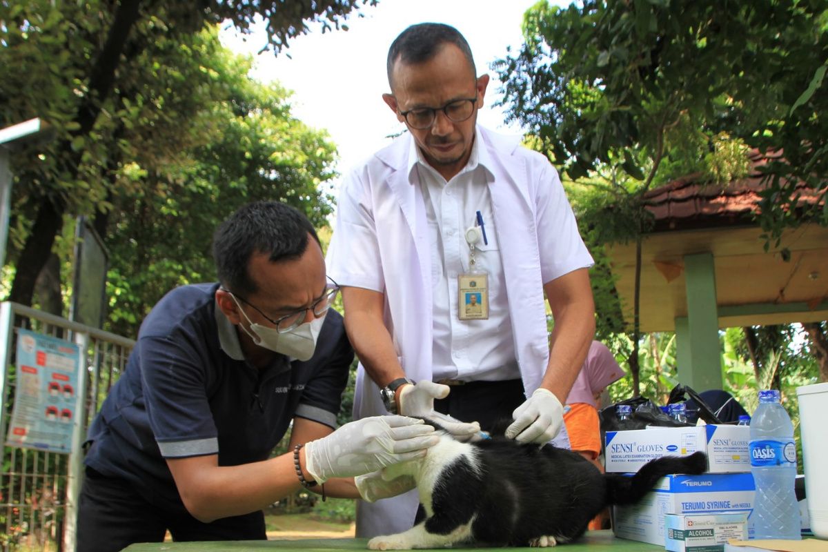 Pemkot Jaksel vaksinasi gratis untuk hewan penular rabies