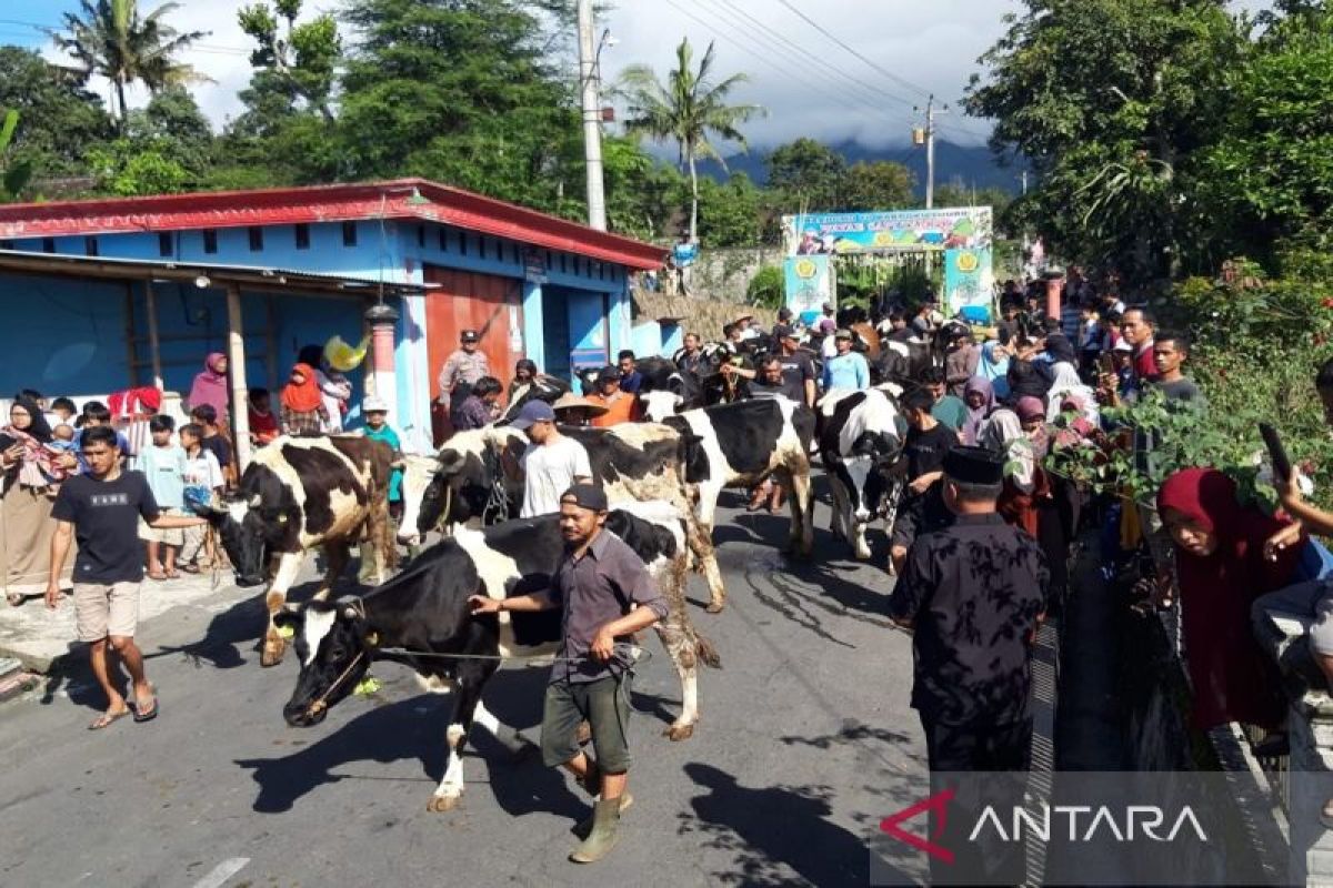 Ratusan warga Sruni Boyolali, Jateng, arak sapi sambut Lebaran Ketupat gaet turis