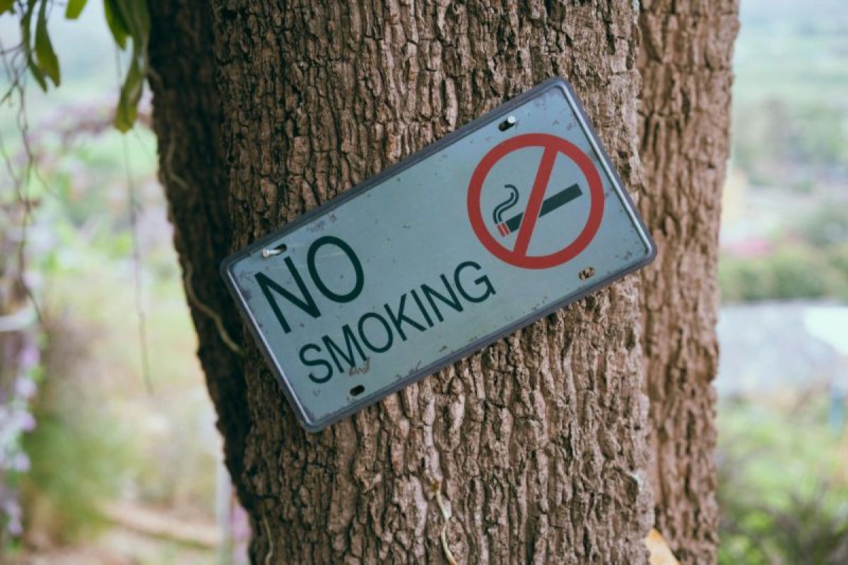Bahaya asap rokok meningkatkan risiko kanker paru hingga 20 kali lipat