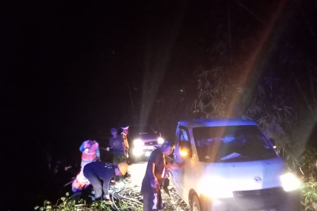 Longsor, polisi evakuasi pohon tumbang di Jalan Lintas Barat Krui