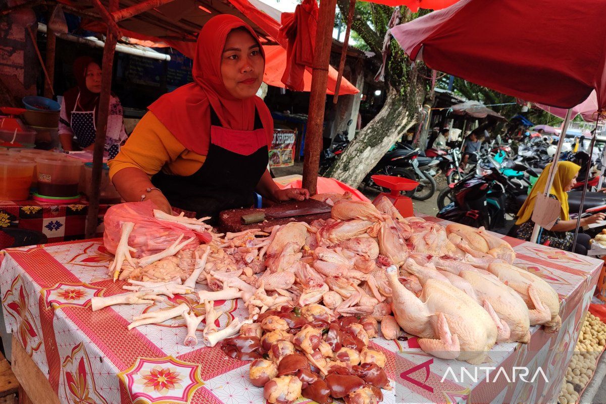 Harga sejumlah bahan pangan turun di Bengkulu usai Lebaran