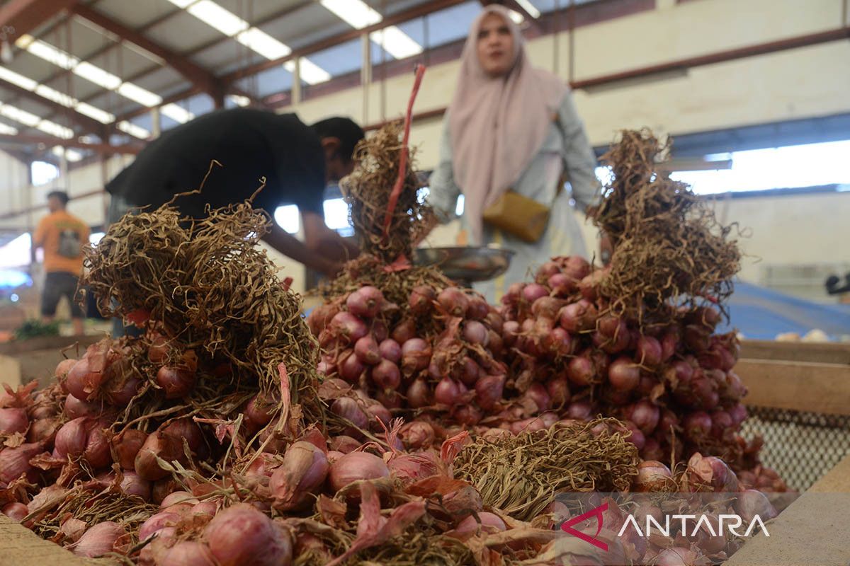 FOTO - Harga bawang naik drastis di Aceh