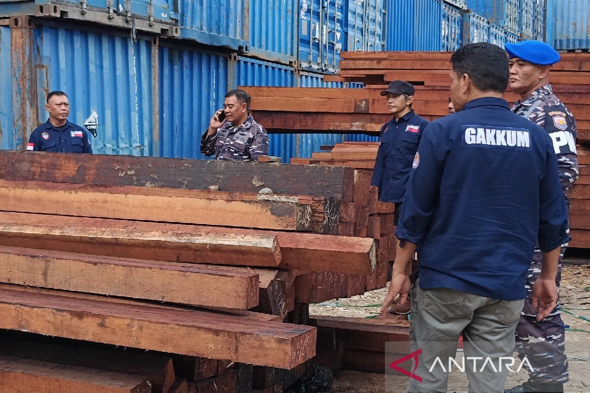 Kasus 3.000 batang kayu ilegal Jayapura dinaikkan ke penyidikan