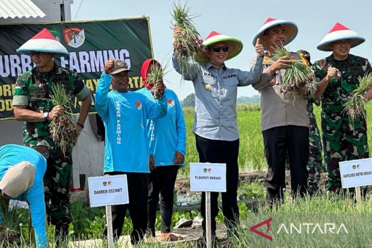 Pemkab Bekasi lakukan pompanisasi sawah tadah hujan jaga produksi padi