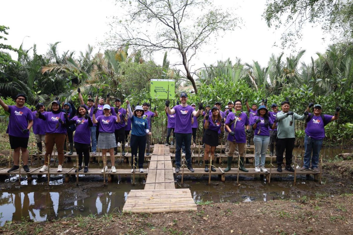 YKAN dan FedEx tanam bibit mangrove di PIK