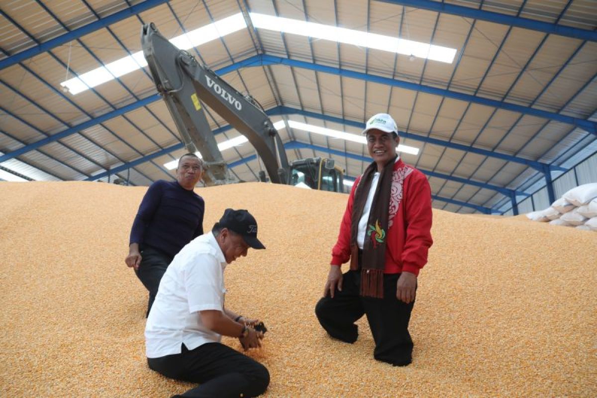 Mentan Andi Amran berharap Bulog segera serap jagung hasil produksi petani