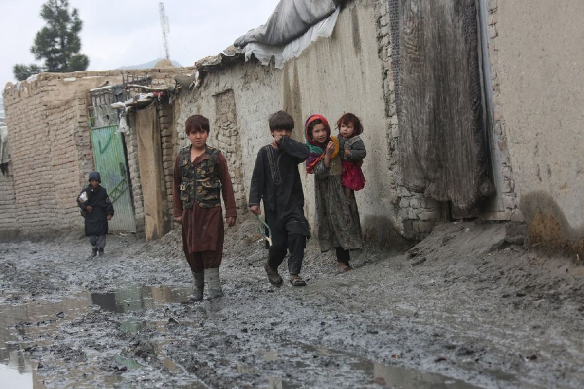 PBB: 16 juta warga Afghanistan akan dilanda kerawanan pangan darurat