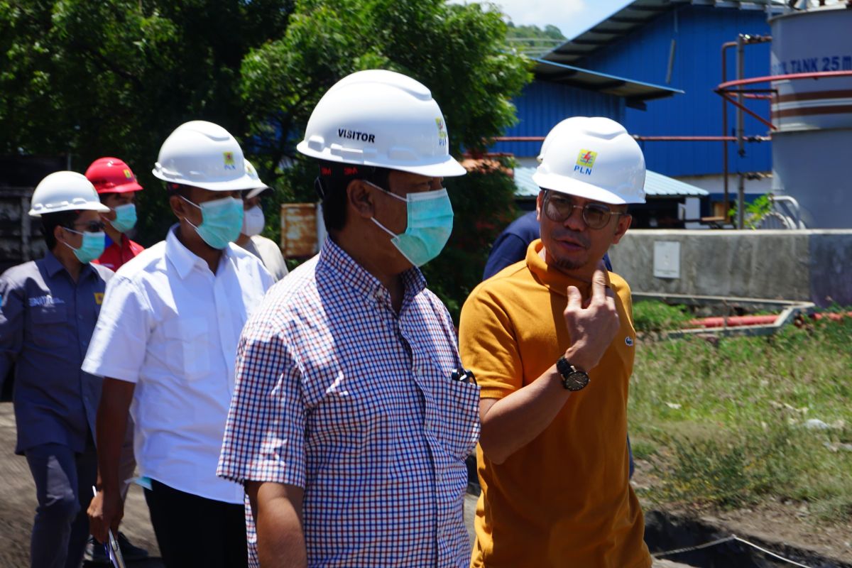 Pemda apresiasi pemanfaatan biomassa dalam cofiring PLTU Sumbawa
