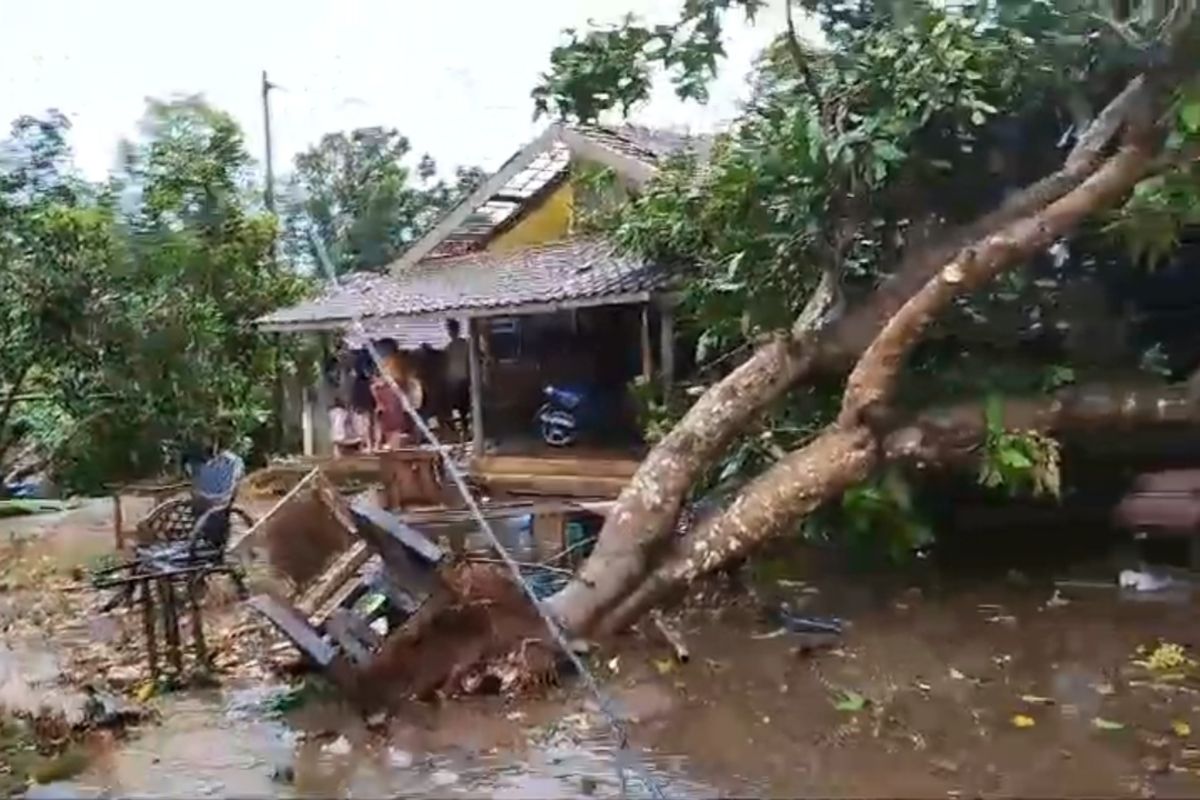 Puting beliung landa tiga desa di Kabupaten Jepara, 121 rumah rusak