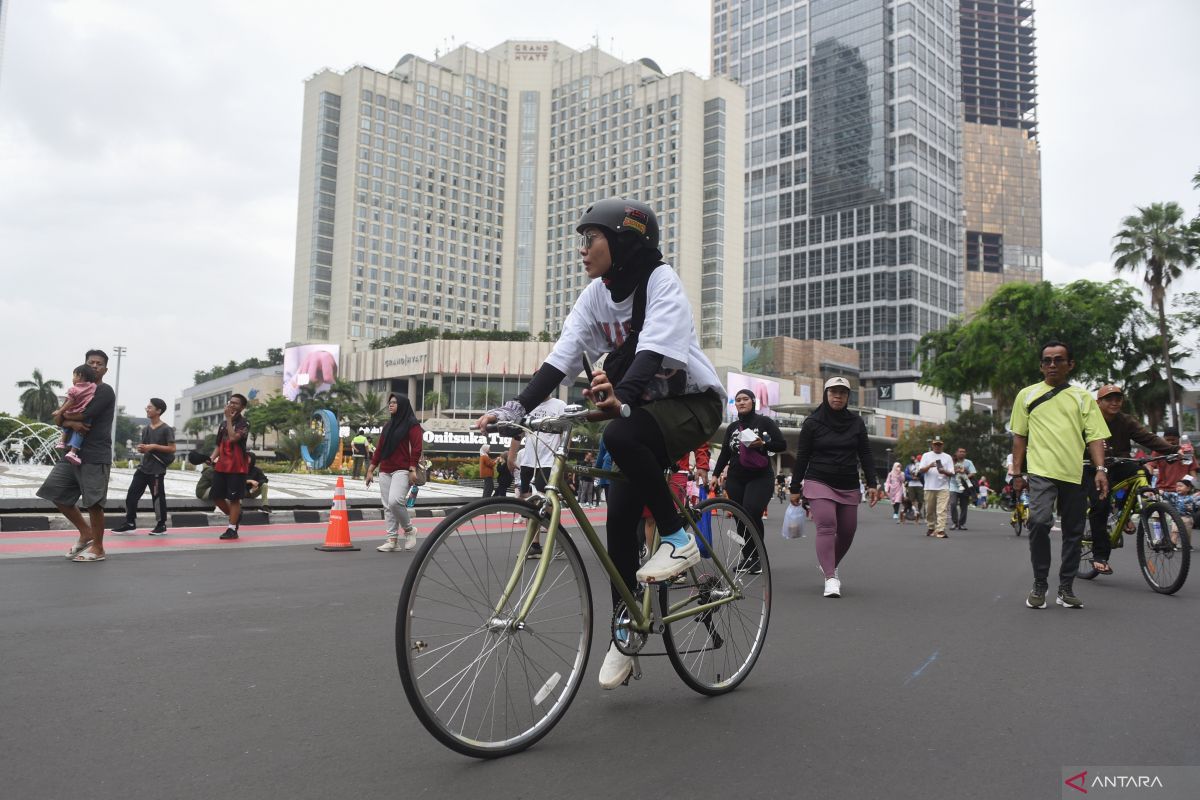 Pengamat berharap Dewan Aglomerasi punya kewenangan eksekusi di daerah