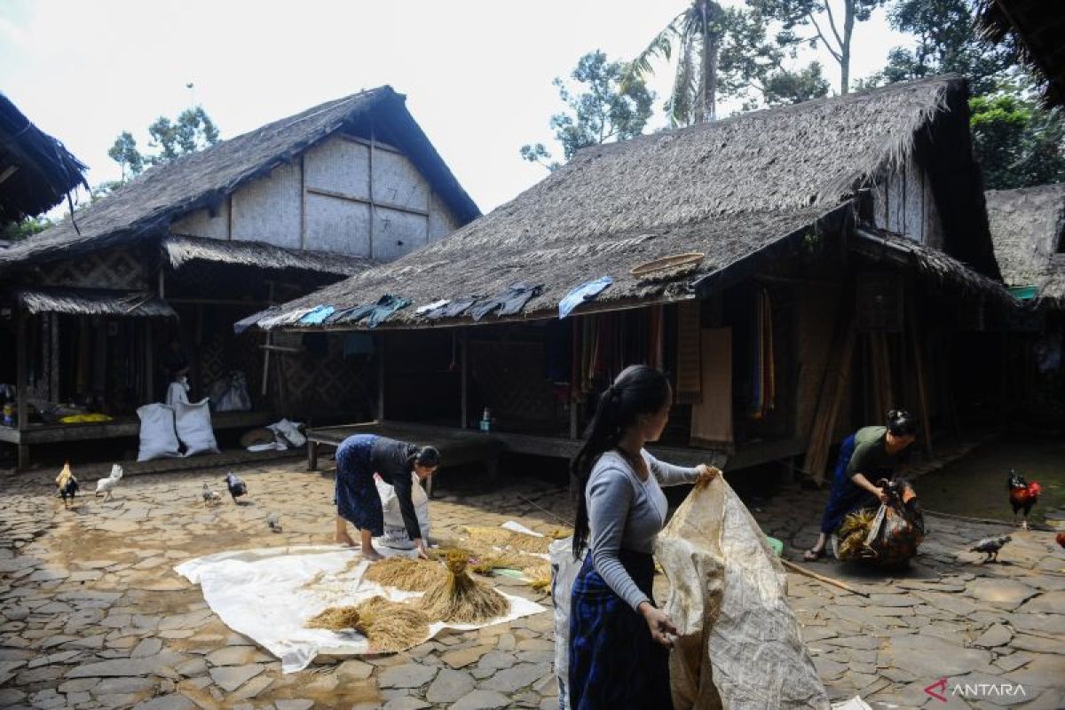 Kawasan Badui di Lebak terbebas kasus DBD