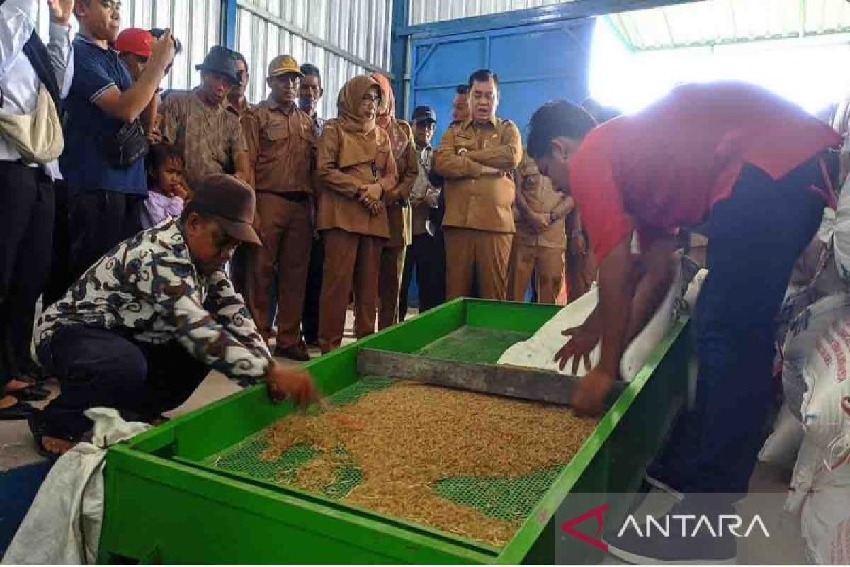 Bantu percepat pengeringan gabah, Bupati Kotim sediakan vertical dryer