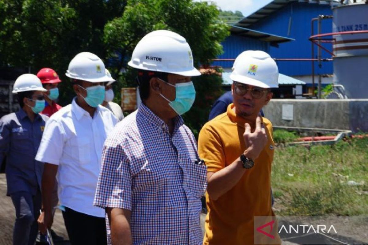 Pemerintah apresiasi pemanfaatan biomassa Co-firing PLTU Sumbawa