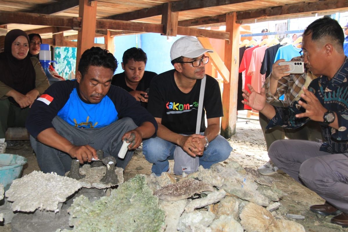 Tim verifikasi Kalpataru tinjau dua nominator dari Kepulauan Seribu