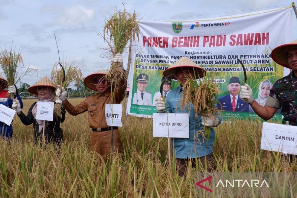 Bupati Kutim dorong persawahan jadi agrowisata