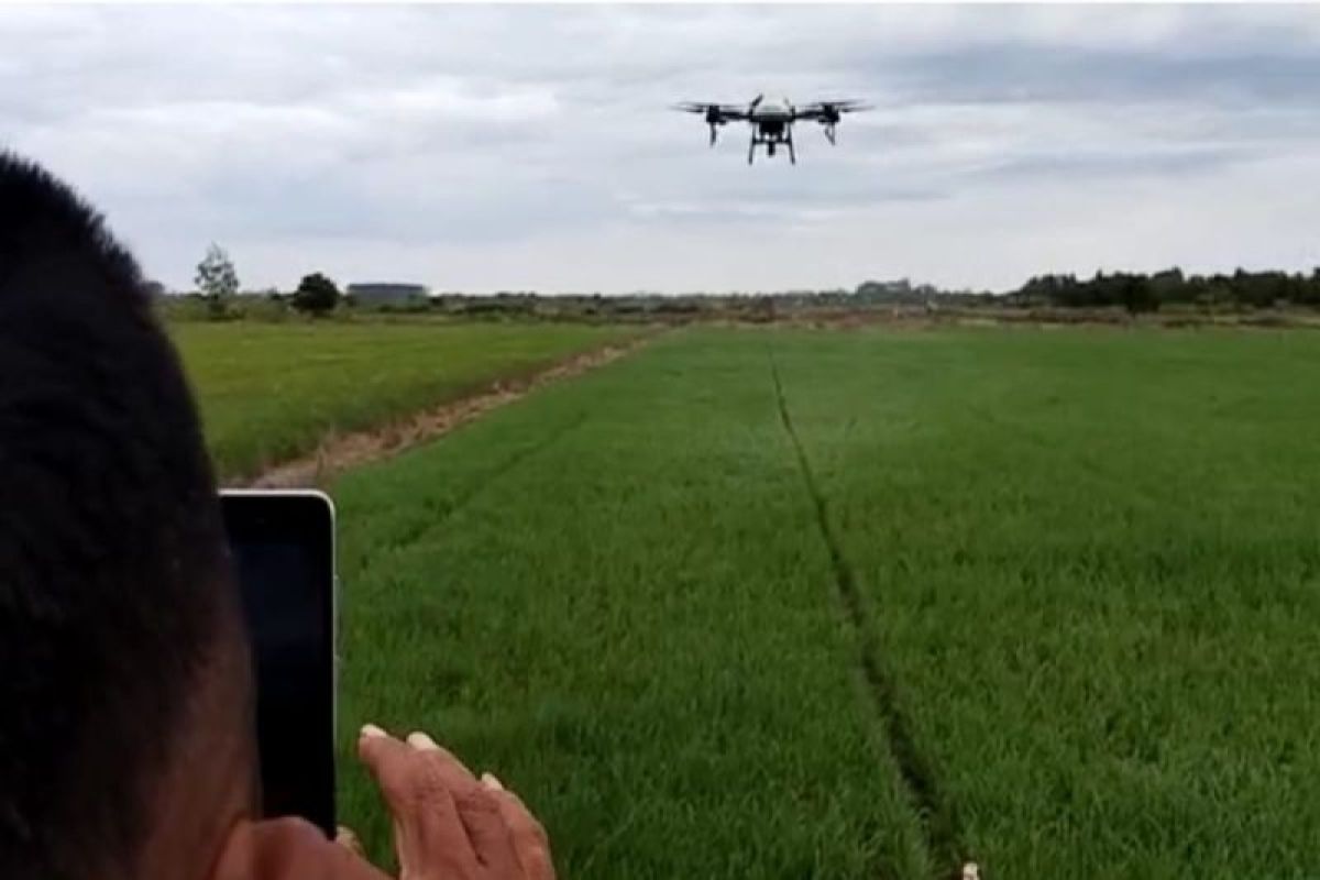 Penggunaan drone pemupukan belum diminati petani Pulang Pisau