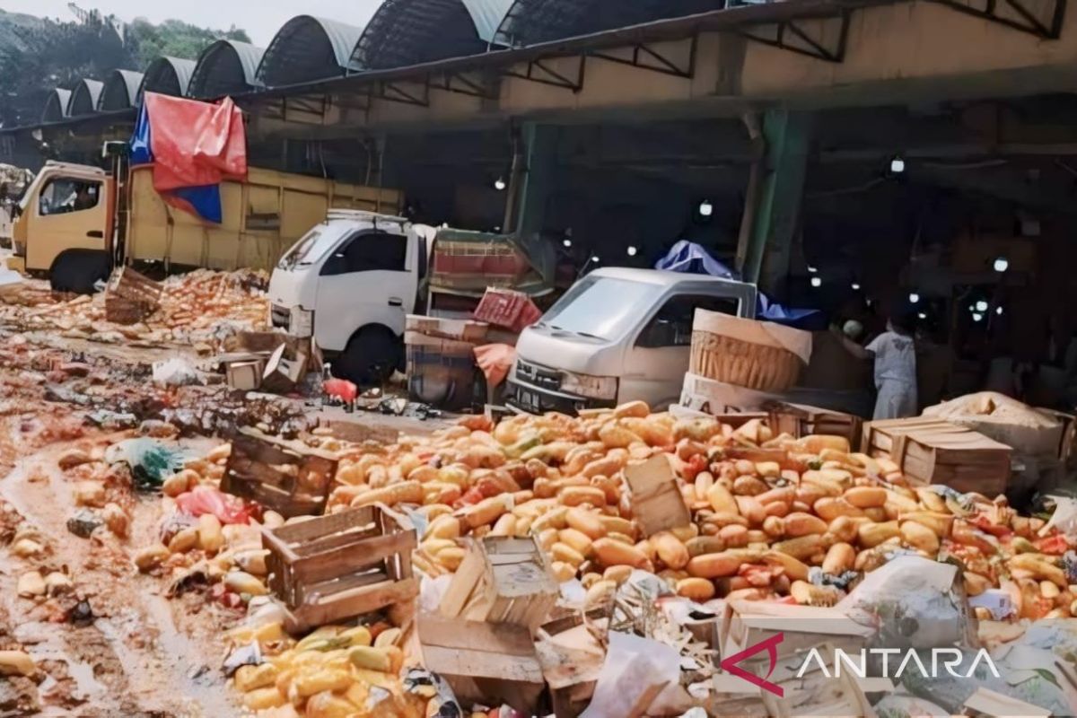 DKI kemarin, pedagang buang pepaya hingga PPK Pilkada Jakarta