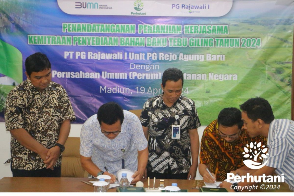 Perhutani gandeng PG Rajawali I dukung swasembada gula nasional