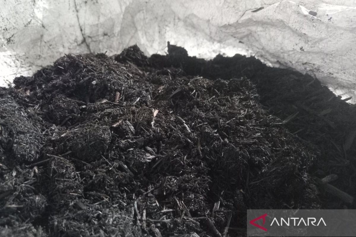 Biochar innovation promoted as climate and trade solution