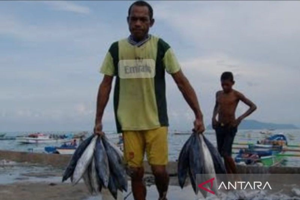 Pemprov: 126 pokmaswas bantu awasi laut di Papua dari penggunaan peledak