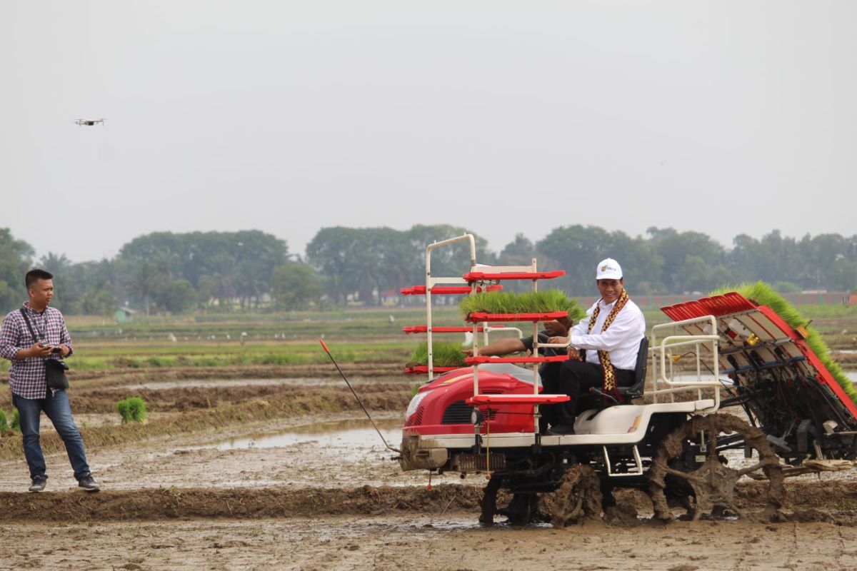 Lampung maksimalkan penggunaan alsintan tingkatkan produksi padi