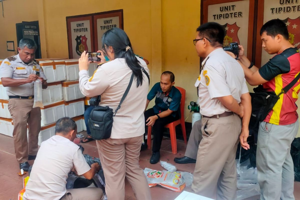 Polisi gagalkan penyelundupan baby lobster di perairan Tanjabtim