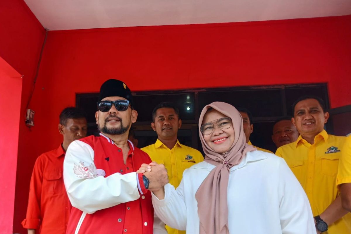Ketua DPD Golkar Ratu Ria daftar calon Wali Kota Serang ke DPC PDIP