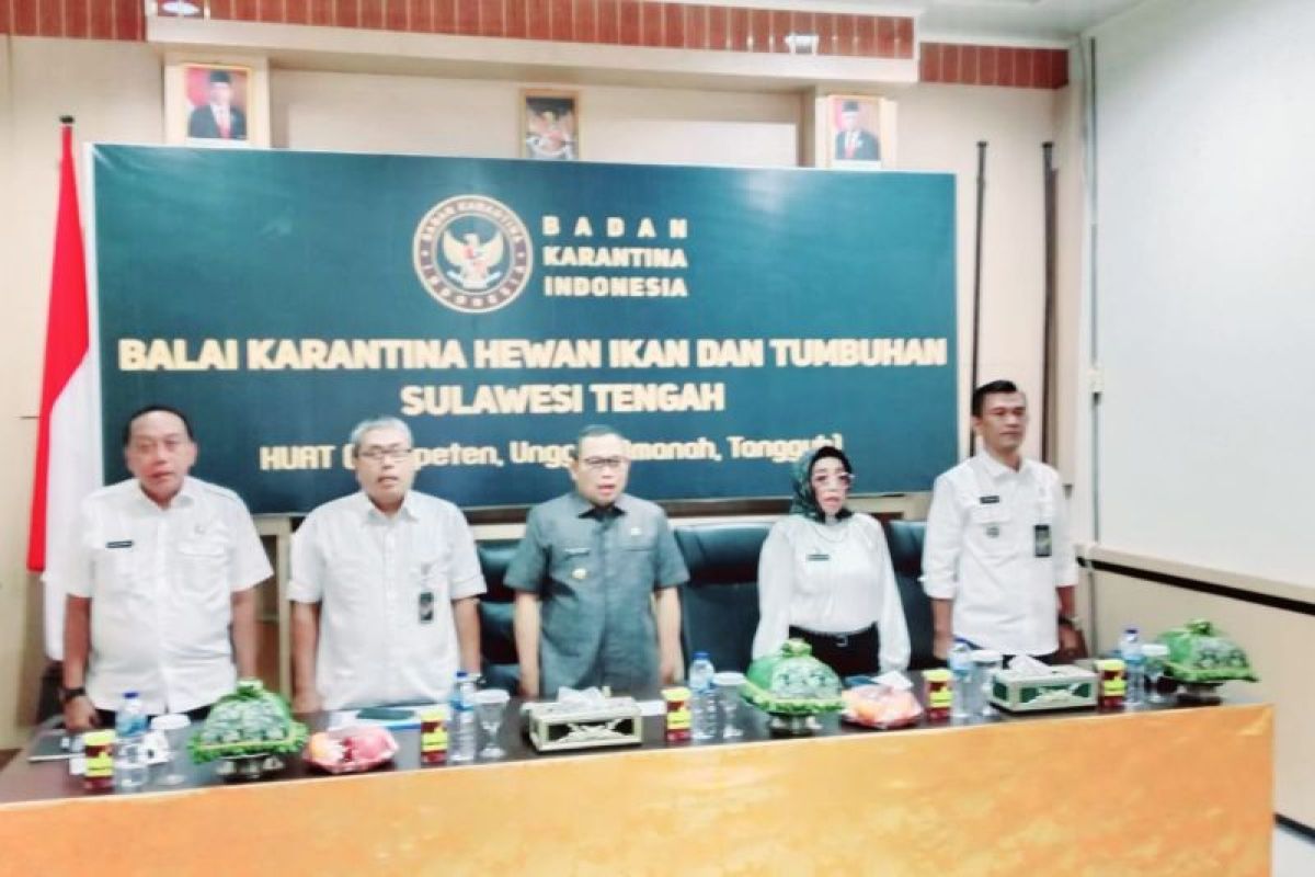 Pemprov Sulteng dan Gorontalo koordinasi terkait lalu lintas hewan