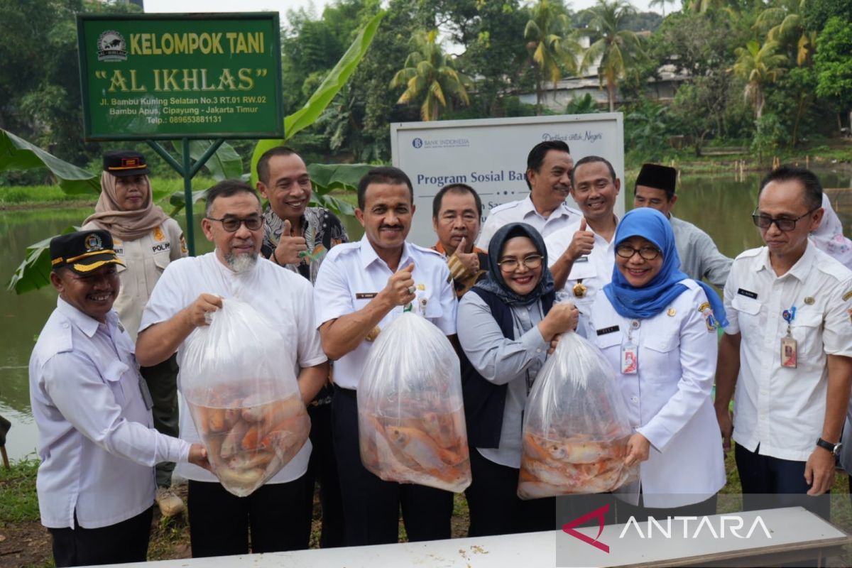 Jakarta Timur panen empat ton ikan nila di Bambu Apus