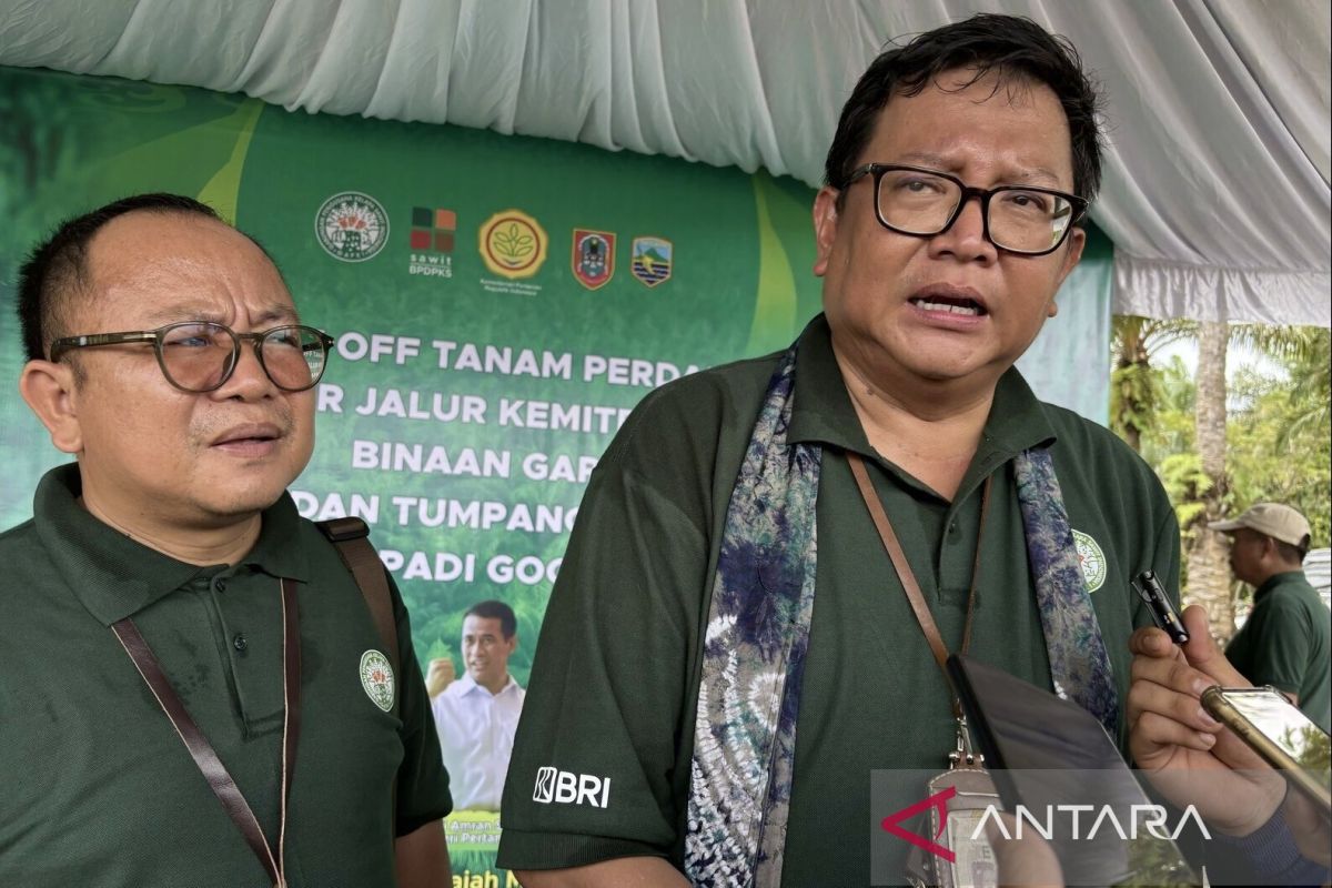 KUD di Kotabaru dapat bantuan peremajaan sawit Rp216 miliar