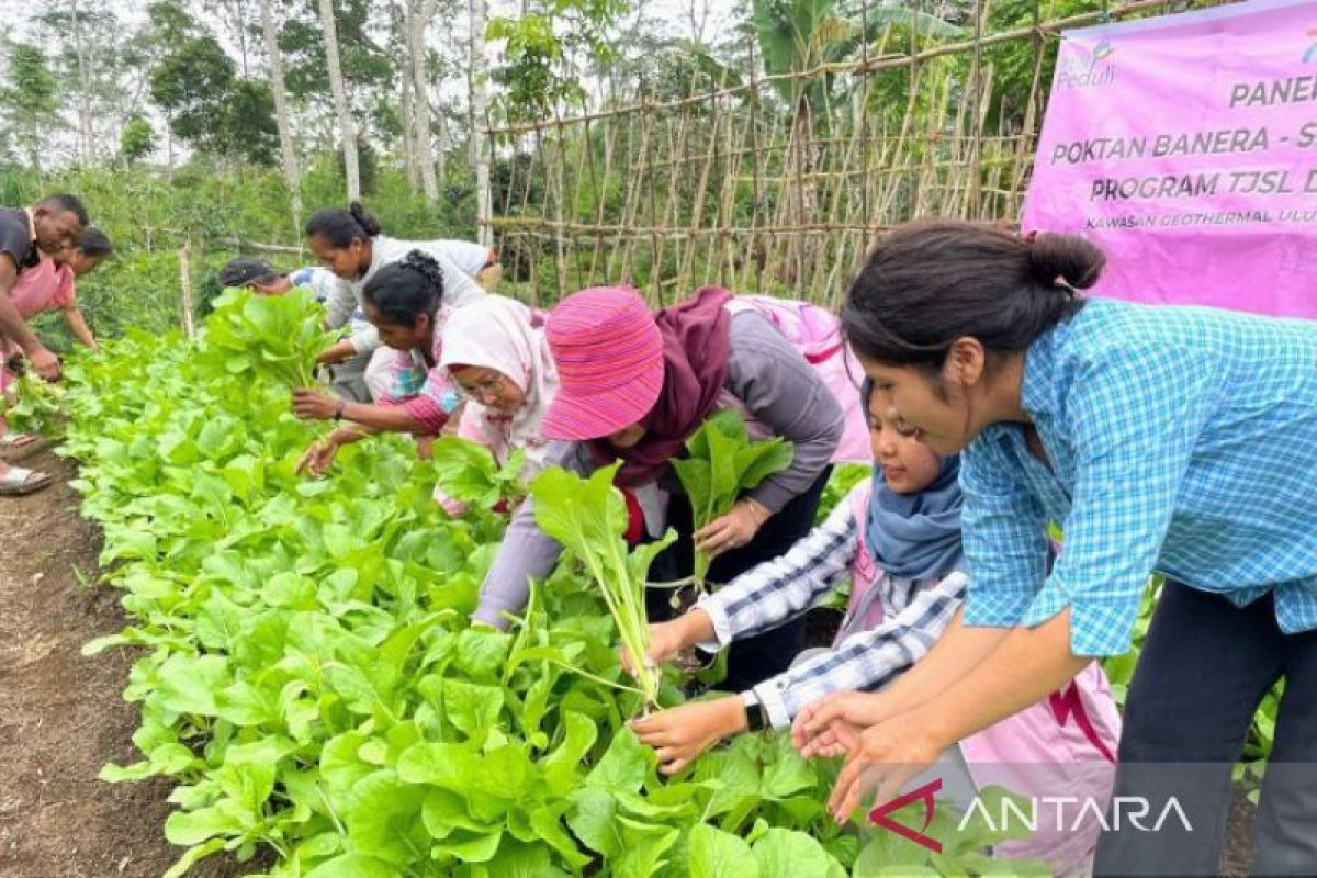 PLN UIP Nusra sukseskan program TJSL dengan tingkatkan partisipasi perempuan