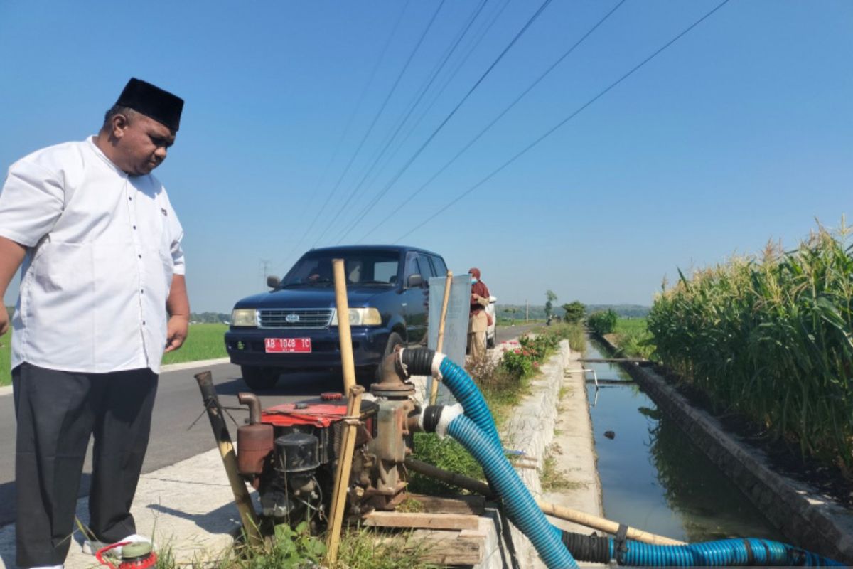 Anggota DPRD Kulon Progo meminta tingkatkan anggaran sektor pertanian