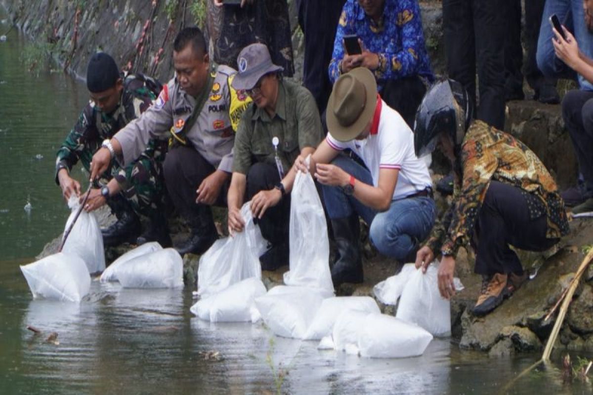 Gunungkidul tebar benih ikan di empat telaga jaga ekosistem