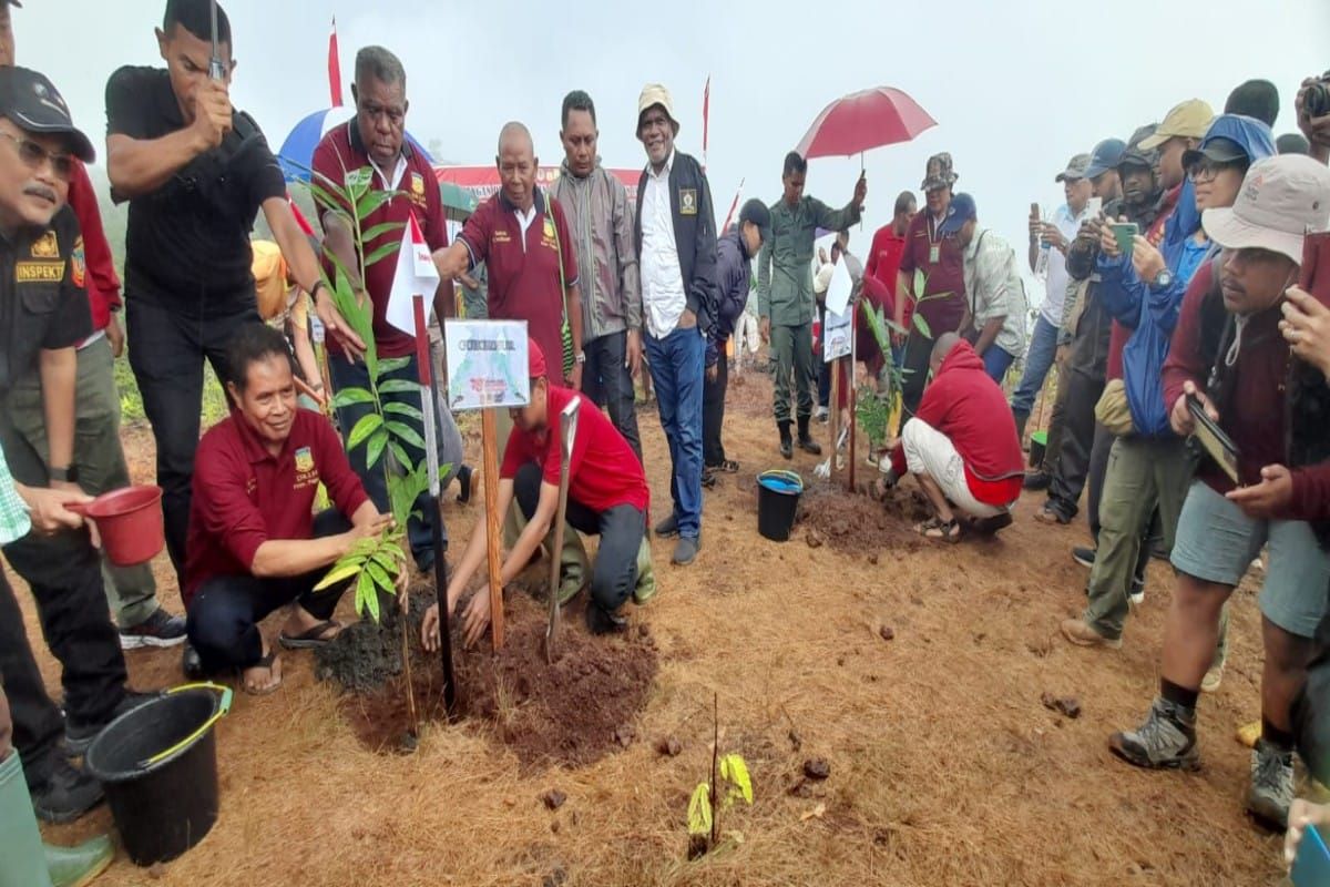 Pemprov Papua sebut RTRW salah satu upaya lindungi hutan