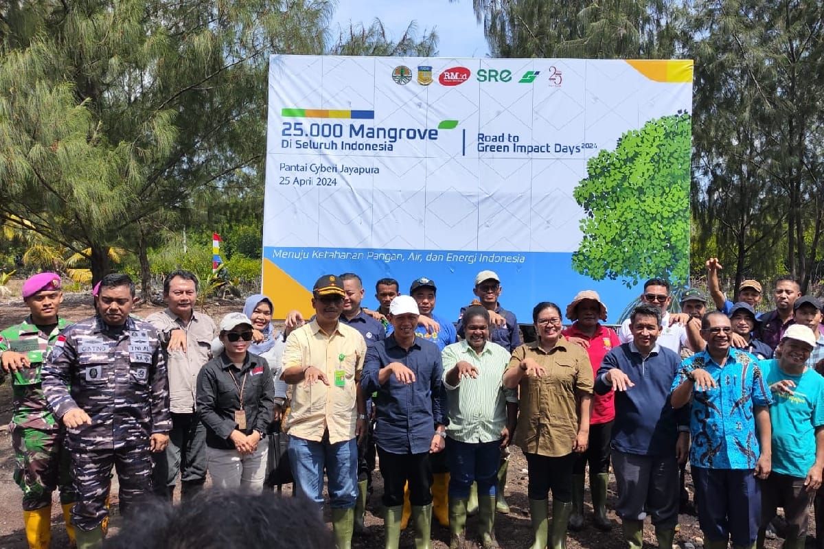 Pemprov Papua ajak warga peduli hutan mangrove Kota Jayapura