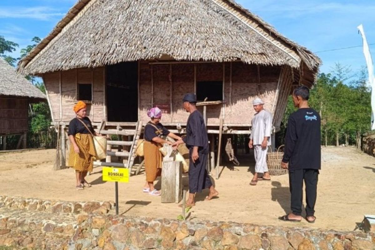 PT Timah bangun Kampung Rumah Adat Mapur lestarikan "Nuju Jerami"