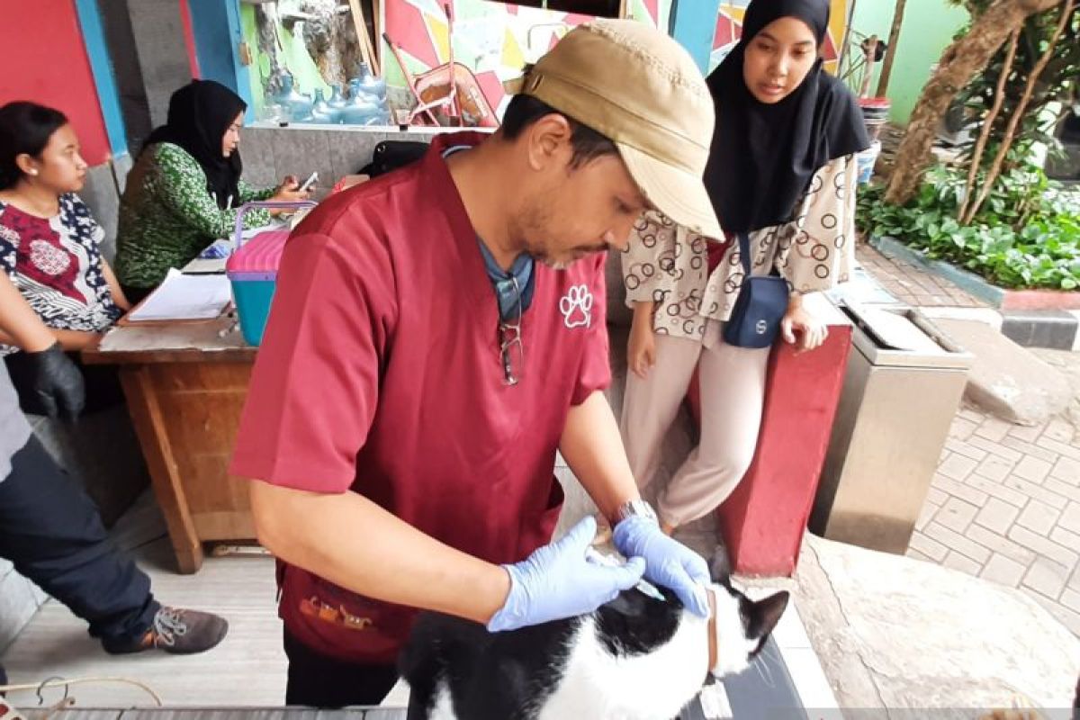DKI Jakarta terus berupaya tetap pertahankan bebas rabies