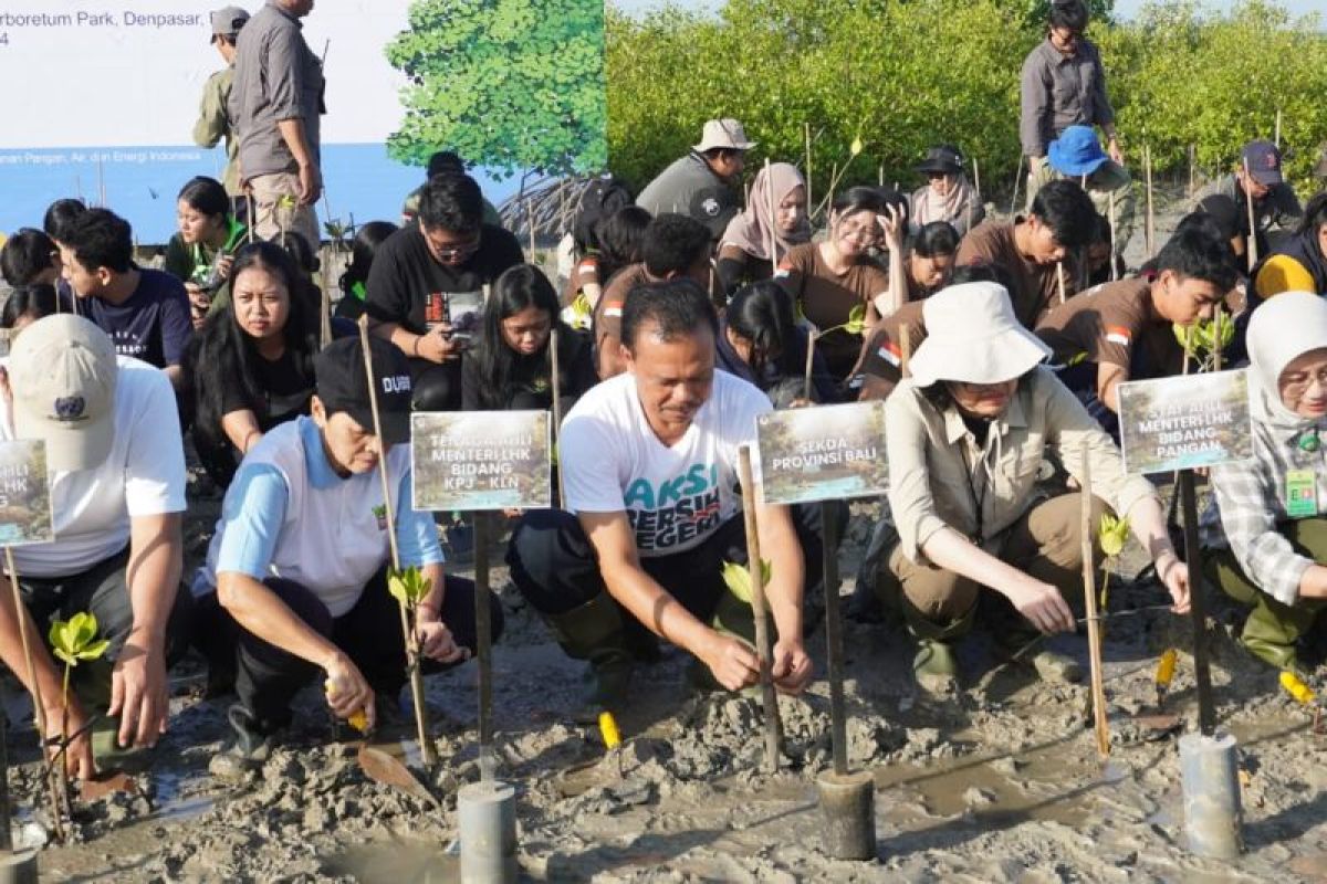 Sekda Bali libatkan anak muda menanam seribu bibit mangrove
