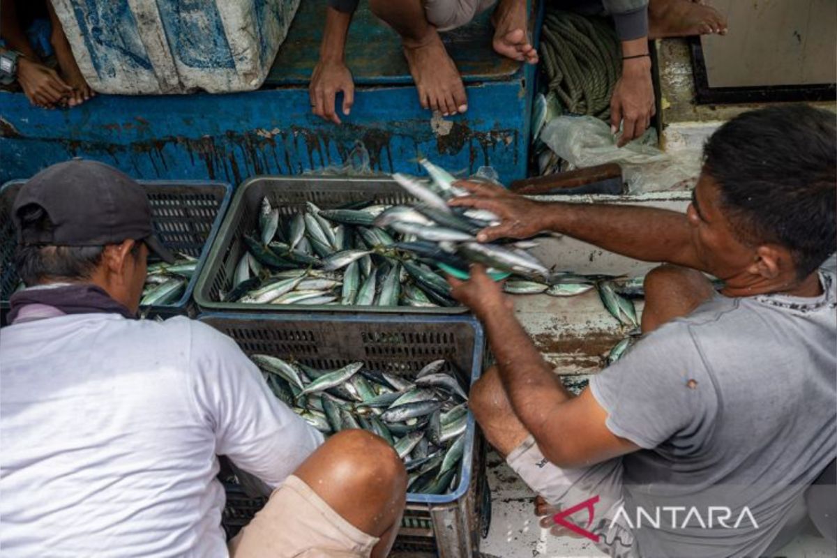 Pemkab Donggala tingkatkan pendapatan asli daerah di sektor perikanan