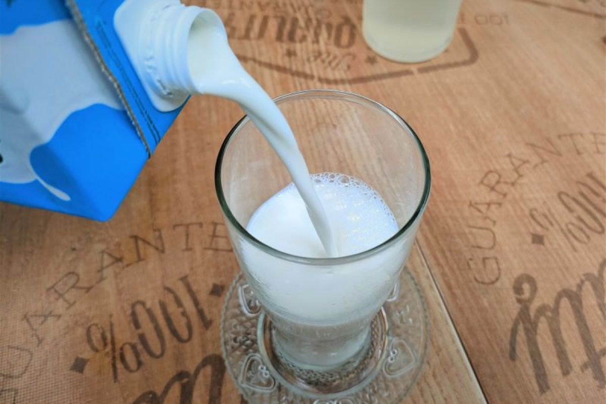 FDA menemukan pecahan virus flu burung dalam sampel susu pasteurisasi