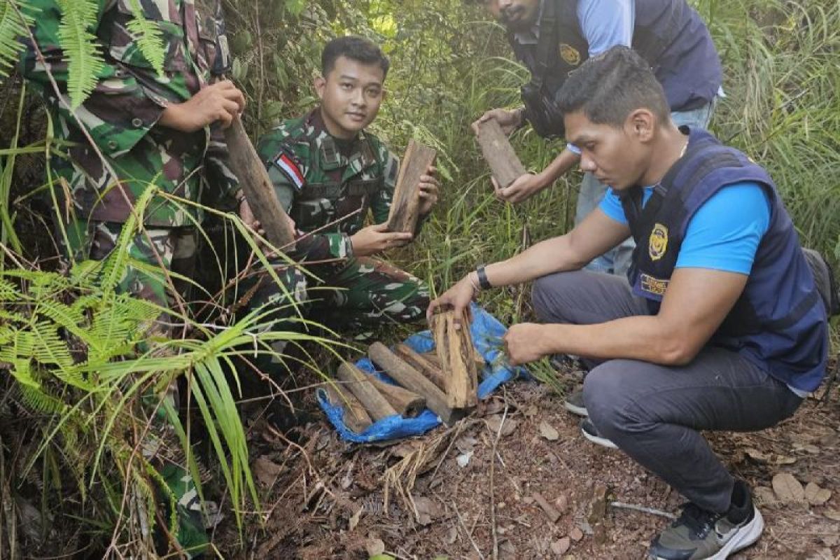 Bea Cukai menyita kayu gaharu di jalan tikus perbatasan RI-Malaysia