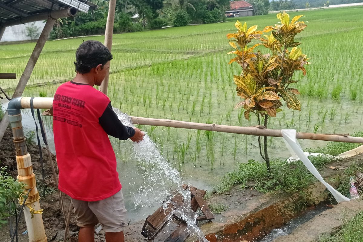 Kementerian Pertanian merealisasikan 262 unit bantuan pompa untuk petani Labak