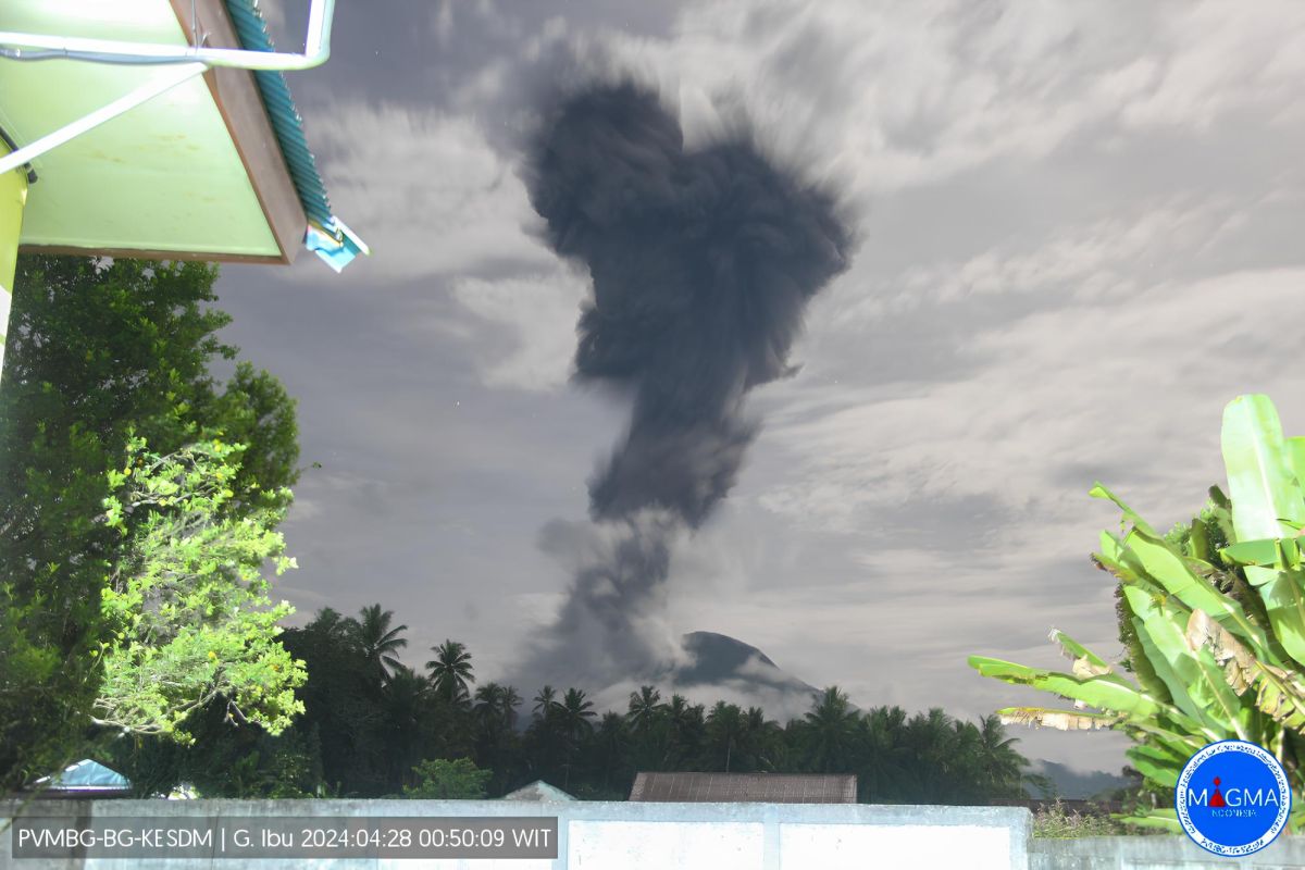 Gunung Ibu erupsi dan melontarkan abu vulkanik setinggi 3,5 kilometer