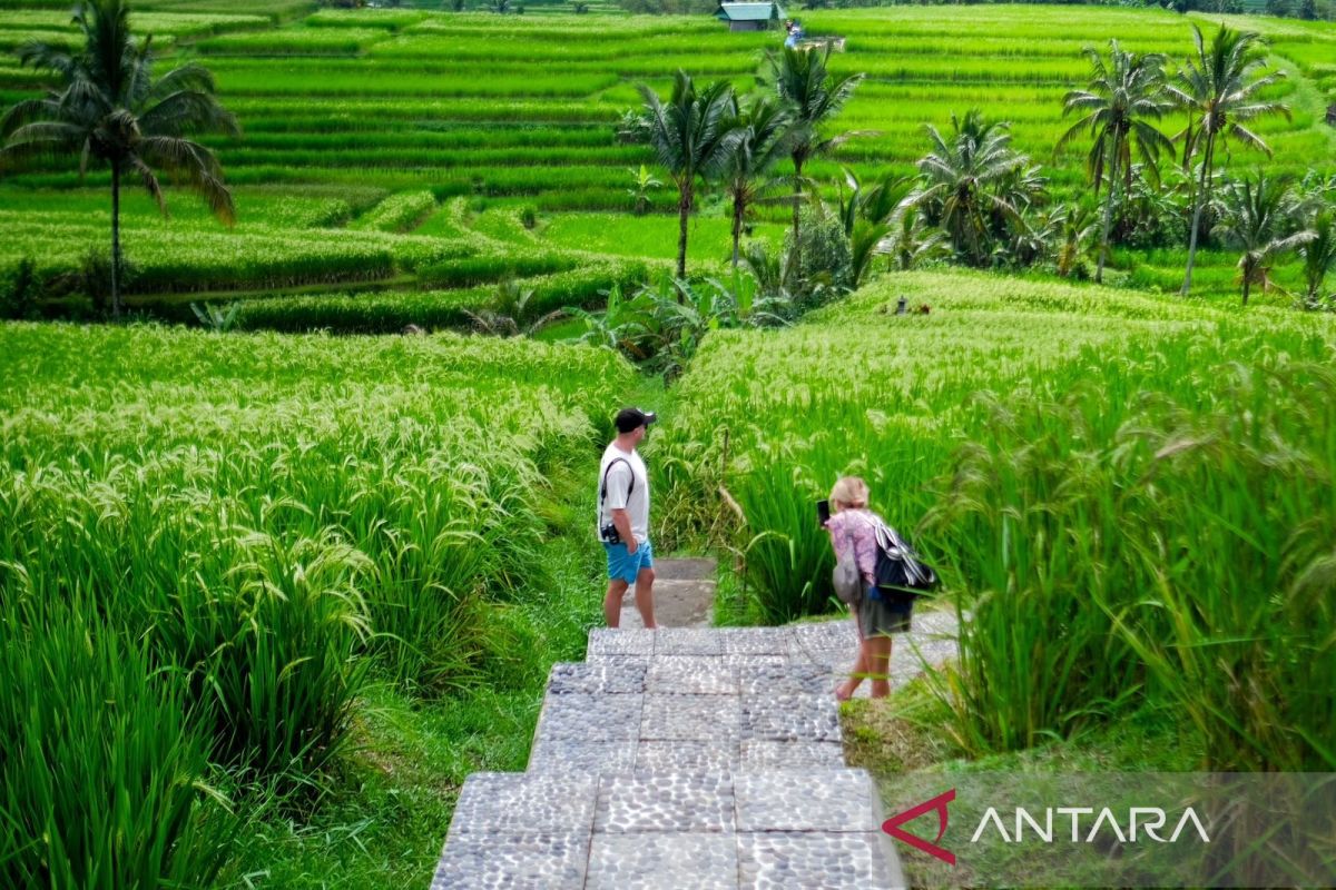 Menparekraf dukung pengembangan pariwisata berkelanjutan di Jatiluwih