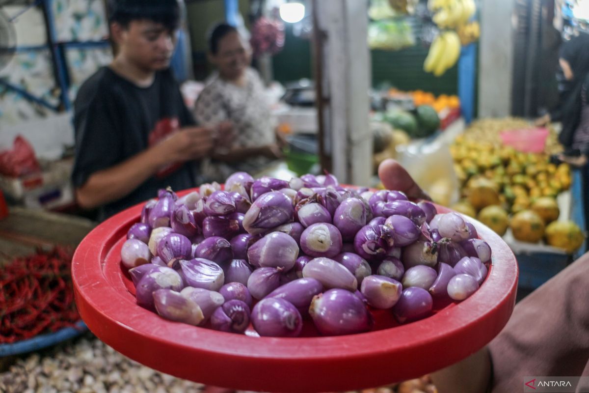 Harga komoditi dan sembako di Pasar Cinde Kota Palembang, Senin (10/9/2024)