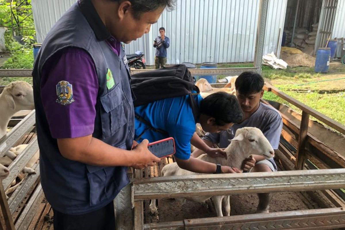 Dompet Dhuafa Jawa Timur vaksinasi hewan kurban