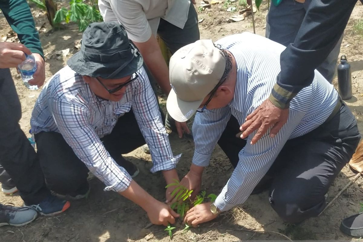 Dukung  eksistensi hutan adat, USK Banda Aceh tanam 200 bibit pohon di Pidie