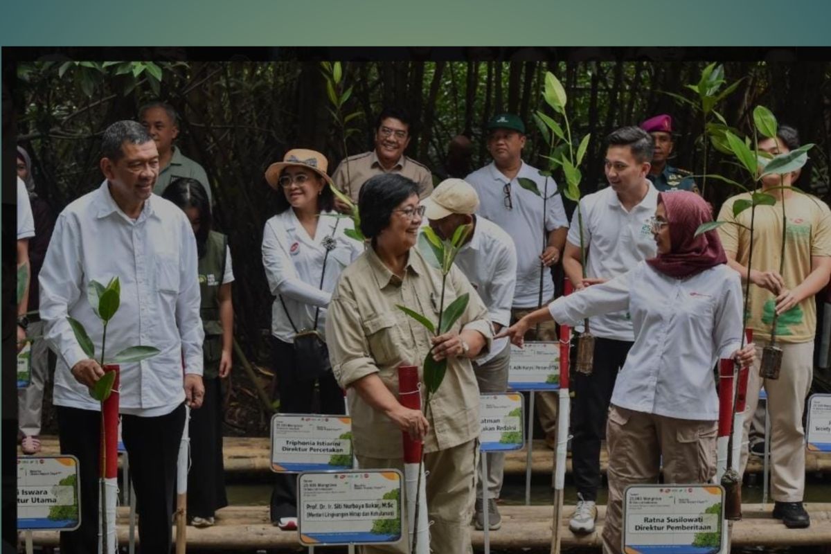 Menteri LHK pimpin aksi penanaman 25.000 mangrove serentak di Indonesia