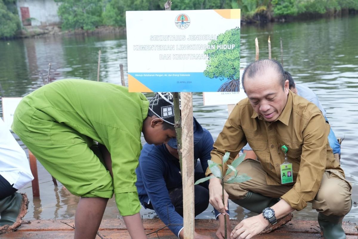 Gelar penanaman serentak, Sekjen KLHK tanam mangrove di Riau