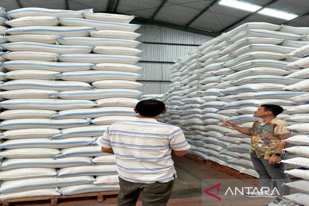 Bulog Surakarta  terus serap untuk jaga stok beras aman